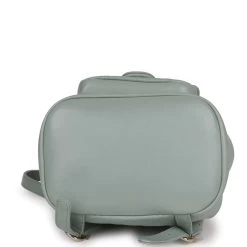 Chanel Small Duma Backpack Light Blue Lambskin Light Gold Hardware -Online Bag Store C FN 230807 1 OH 06