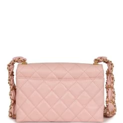 Chanel 19 Mini Flap Light Pink Aged Calfskin Brushed Gold Hardware -Online Bag Store C FN 231011 2 05