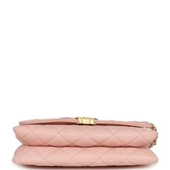 Chanel 19 Mini Flap Light Pink Aged Calfskin Brushed Gold Hardware -Online Bag Store C FN 231011 2 06