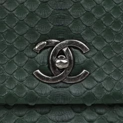 Pre-owned Chanel Medium Coco Handle Flap Bag Dark Green Python Ruthenium Hardware -Online Bag Store C FN 231205 1 RT 02