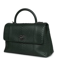 Pre-owned Chanel Medium Coco Handle Flap Bag Dark Green Python Ruthenium Hardware -Online Bag Store C FN 231205 1 RT 04