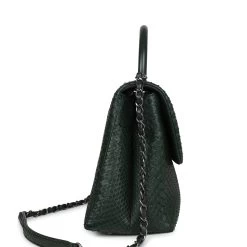 Pre-owned Chanel Medium Coco Handle Flap Bag Dark Green Python Ruthenium Hardware -Online Bag Store C FN 231205 1 RT 05