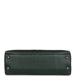 Pre-owned Chanel Medium Coco Handle Flap Bag Dark Green Python Ruthenium Hardware -Online Bag Store C FN 231205 1 RT 07