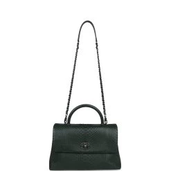 Pre-owned Chanel Medium Coco Handle Flap Bag Dark Green Python Ruthenium Hardware -Online Bag Store C FN 231205 1 RT 08