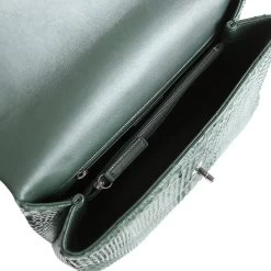 Pre-owned Chanel Medium Coco Handle Flap Bag Dark Green Python Ruthenium Hardware -Online Bag Store C FN 231205 1 RT 10