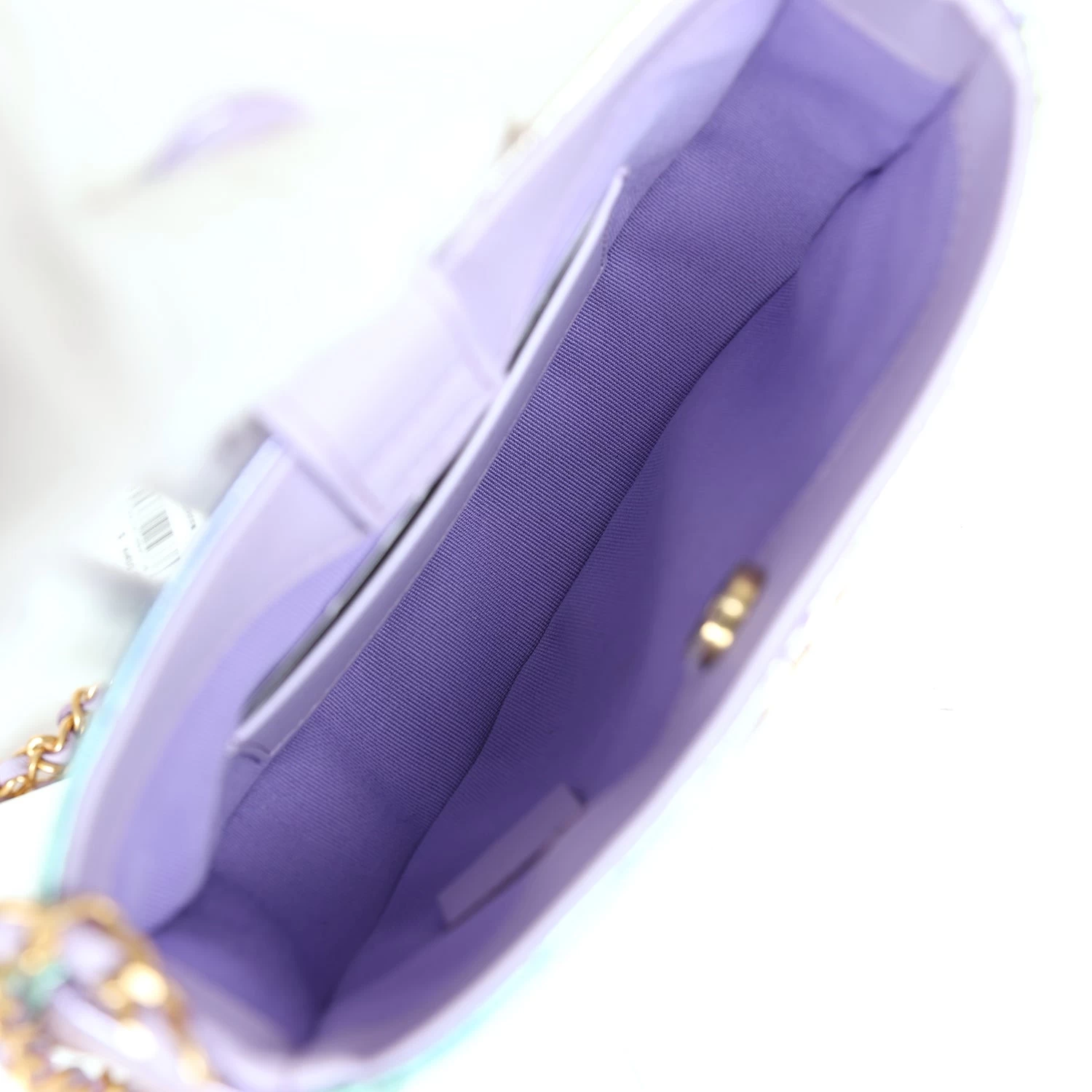 Chanel Mini Hobo Bag Rainbow Metallic Lambskin Antique Gold Hardware 13 Chanel Mini Hobo Bag Rainbow Metallic Lambskin Antique Gold Hardware - Image 11