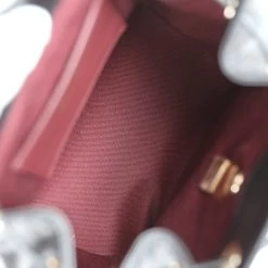 Chanel Small Business Affinity Backpack Black Caviar Light Gold Hardware -Online Bag Store C FN 231213 2 LC 12