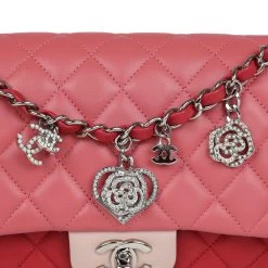 Pre-owned Chanel Medium Valentine Single Flap Bag Tricolored Lambskin Silver Hardware -Online Bag Store C FN 231228 2 02