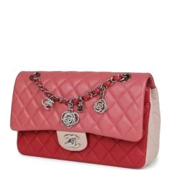 Pre-owned Chanel Medium Valentine Single Flap Bag Tricolored Lambskin Silver Hardware -Online Bag Store C FN 231228 2 04