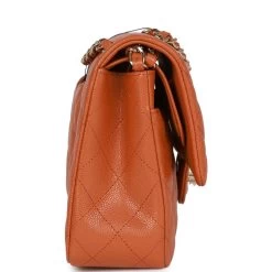 Chanel Medium Classic Double Flap Bag Caramel Caviar Light Gold Hardware -Online Bag Store C M255 021723 1 04