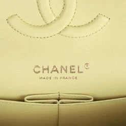 Chanel Medium Classic Double Flap Bag Light Green Lambskin Light Gold Hardware -Online Bag Store C M255 122822 4 08