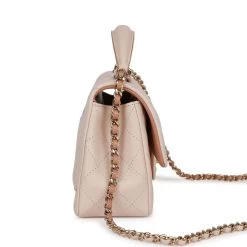 Chanel Mini Flap With Top Handle Beige And Caramel Lambskin Light Gold Hardware -Online Bag Store C M255 230317 1 04