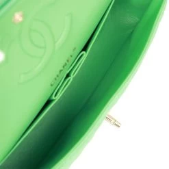 Chanel Medium Classic Double Flap Bag Green Caviar Light Gold Hardware -Online Bag Store C M255 230412 2 09