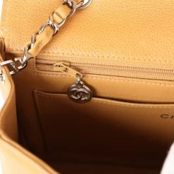 Vintage Chanel Medium Diana Flap Bag Dark Beige Caviar Silver Hardware -Online Bag Store C V 230719 1 10