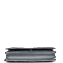 Chanel Wallet On Chain WOC Silver Metallic Lambskin Silver Hardware -Online Bag Store C WOC 231019 1 06