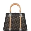 Goyard Saigon Mini Trunk Bag Black Goyardine Palladium Hardware -Online Bag Store G FN 230714 2 JJ 01