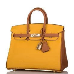 Hermès Hermes Special Order (HSS) Birkin 25 Jaune Ambre And Gold Togo Permabrass Hardware -Online Bag Store H B 082721 1 5