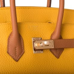 Hermès Hermes Special Order (HSS) Birkin 25 Jaune Ambre And Gold Togo Permabrass Hardware -Online Bag Store H B 082721 1 7