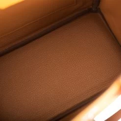 Hermès Hermes Special Order (HSS) Birkin 25 Jaune Ambre And Gold Togo Permabrass Hardware -Online Bag Store H B 082721 1 8