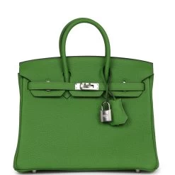 Hermès Hermes Birkin 25 Vert Yucca Togo Palladium Hardware