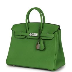 Hermès Hermes Birkin 25 Vert Yucca Togo Palladium Hardware -Online Bag Store H B 230824 1 03