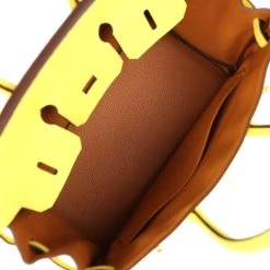 Hermès Hermes Special Order (HSS) Birkin 25 Limoncello Verso Togo Rose Gold Hardware 18 Hermès Hermes Special Order (HSS) Birkin 25 Limoncello Verso Togo Rose Gold Hardware -Online Bag Store H B 240130 3 09