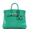 Hermès Hermes Birkin 25 Menthe Varanus Niloticus Lizard Gold Hardware 2 Hermès Hermes Birkin 25 Menthe Varanus Niloticus Lizard Gold Hardware -Online Bag Store H B 240314 2 01