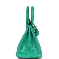 Hermès Hermes Birkin 25 Menthe Varanus Niloticus Lizard Gold Hardware -Online Bag Store H B 240314 2 04