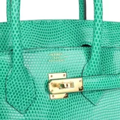 Hermès Hermes Birkin 25 Menthe Varanus Niloticus Lizard Gold Hardware -Online Bag Store H B 240314 2 08