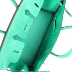 Hermès Hermes Birkin 25 Menthe Varanus Niloticus Lizard Gold Hardware -Online Bag Store H B 240314 2 09