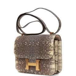 Hermès Hermes Mini Constance 18 Ombre Lizard Varanus Salvator Gold Hardware -Online Bag Store H C 080922 2 NU 03