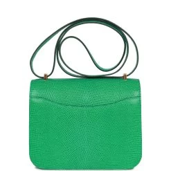 Hermès Hermes Mini Constance 18 Menthe Lizard Salvator Gold Hardware -Online Bag Store H C 230417 1 HR 05