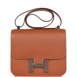 Hermès Hermes Constance 24 Gold Madame And Lizard Palladium Hardware
