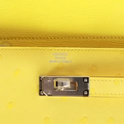 Hermès Hermes Medium Kelly Depliant Wallet Jaune Citron Ostrich Palladium Hardware -Online Bag Store H FBSLG 081722 1 XZ 07