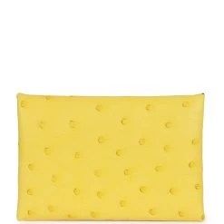 Hermès Hermes Calvi Card Holder Jaune Citron Ostrich Palladium Hardware -Online Bag Store H FBSLG 230825 1 05