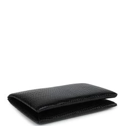 Hermès Hermes Calvi Cardholder Black Shiny Varanus Niloticus Lizard Palladium Hardware -Online Bag Store H FBSLG 240109 1 06