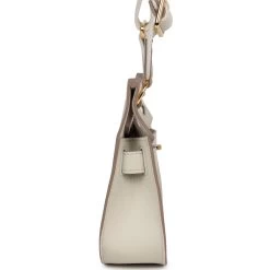 Hermès Hermes Mini Jypsiere Beton Evercolor Gold Hardware -Online Bag Store H FBSLG 240314 1 NM 05