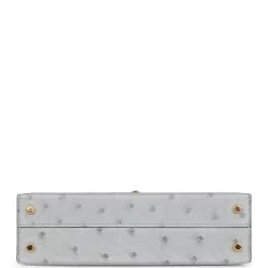 Hermès Hermes Kelly Sellier 20 Bleu Glacier Ostrich Gold Hardware -Online Bag Store H K 230607 2 06