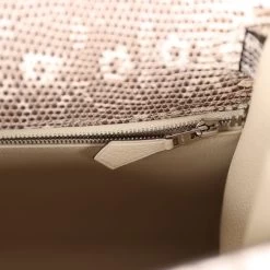 Hermès Hermes Kelly Sellier 28 Ombre Varanus Salvator Lizard Palladium Hardware 19 Hermès Hermes Kelly Sellier 28 Ombre Varanus Salvator Lizard Palladium Hardware -Online Bag Store H K 230714 2 MR 10